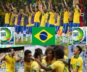 пазл Бразилия Кубка конфедераций 2013